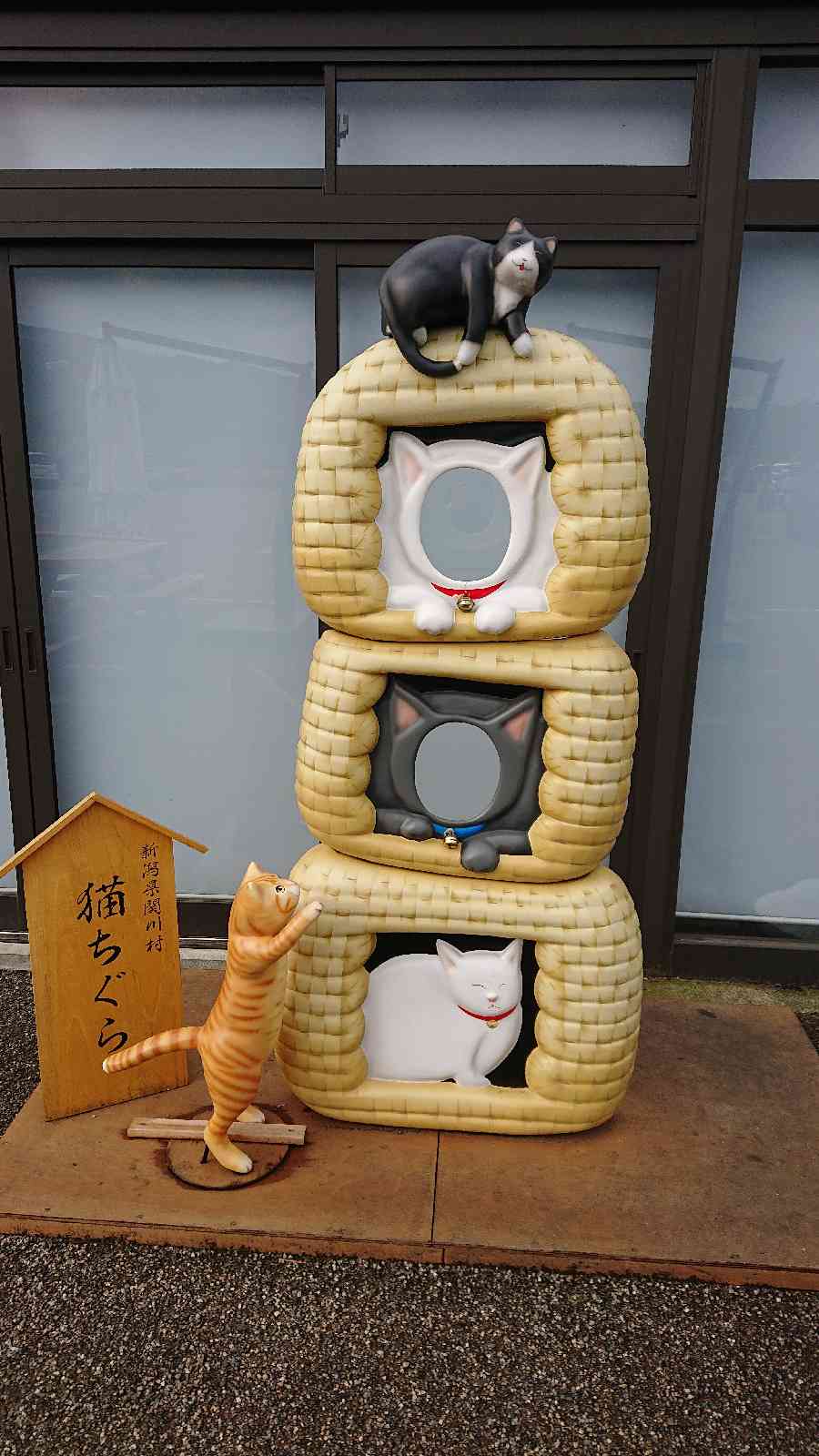 投稿された画像