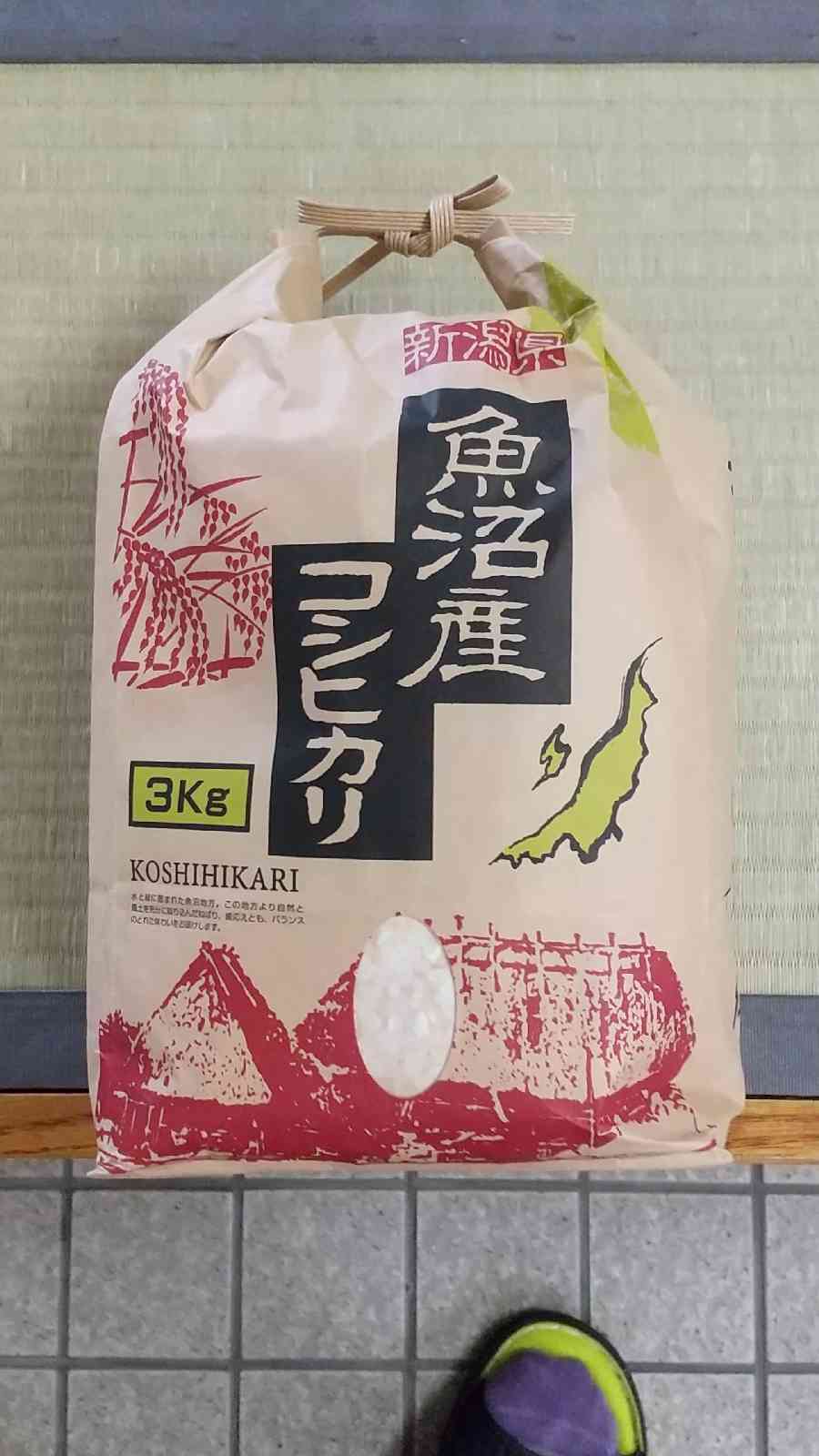 投稿された画像