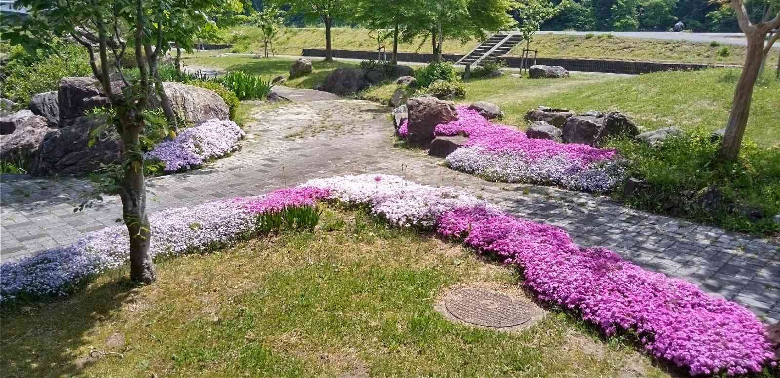 道の駅 阿賀の里の写真