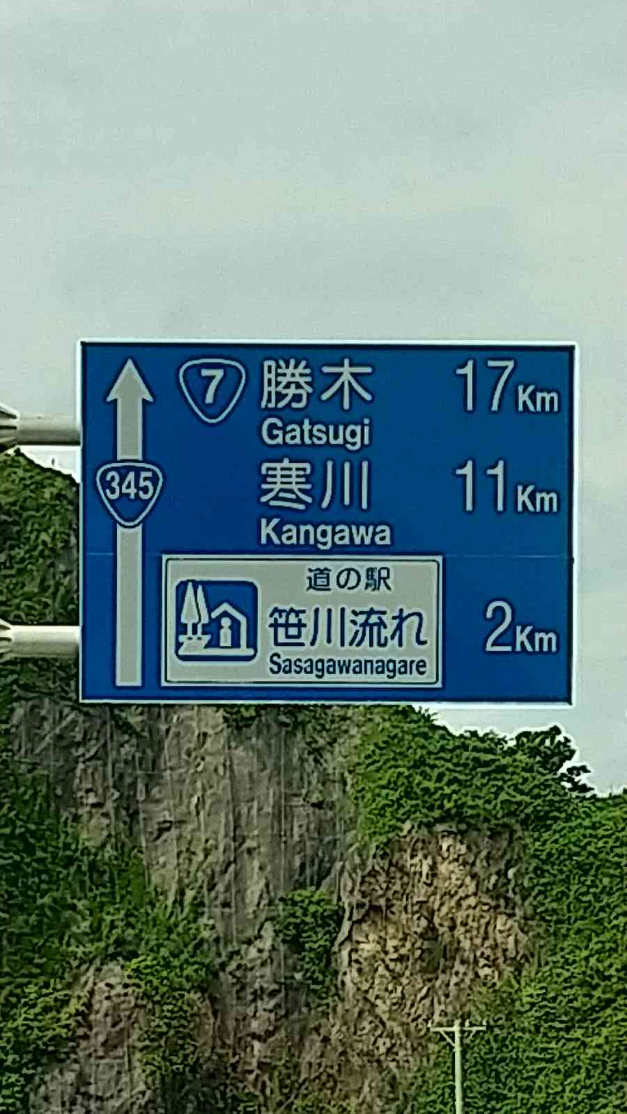 投稿された画像