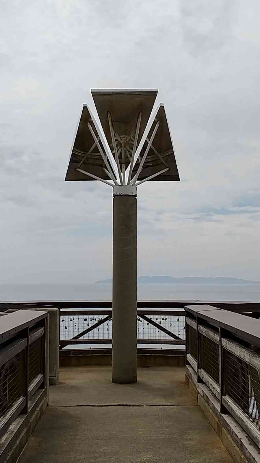 投稿された画像