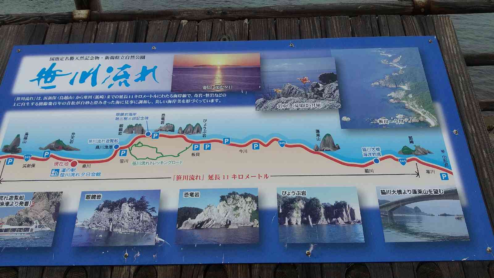 投稿された画像