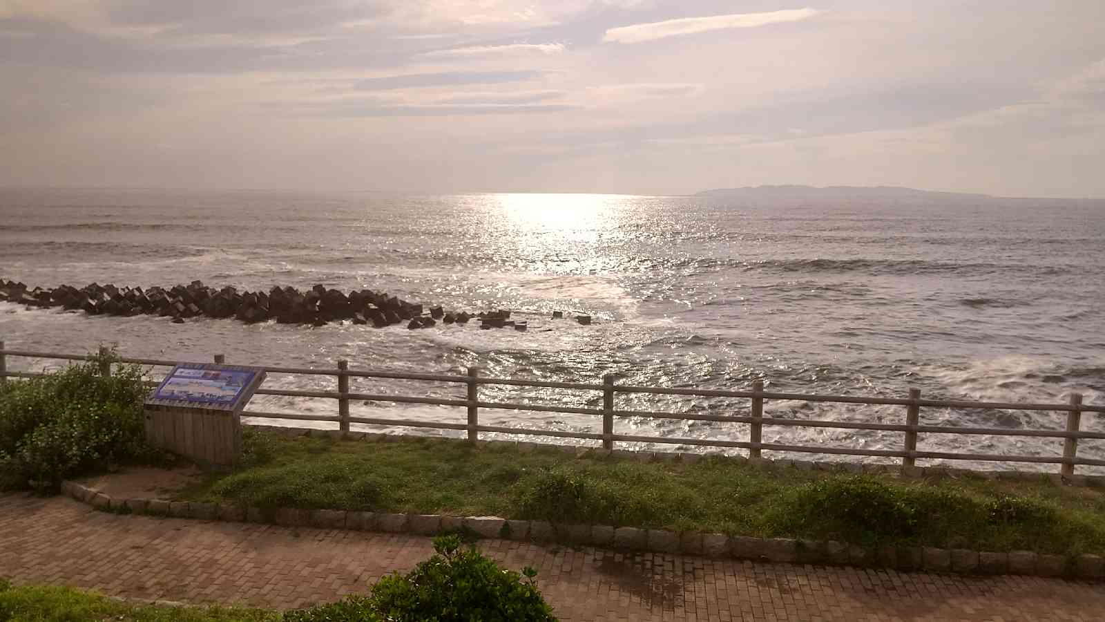 投稿された画像