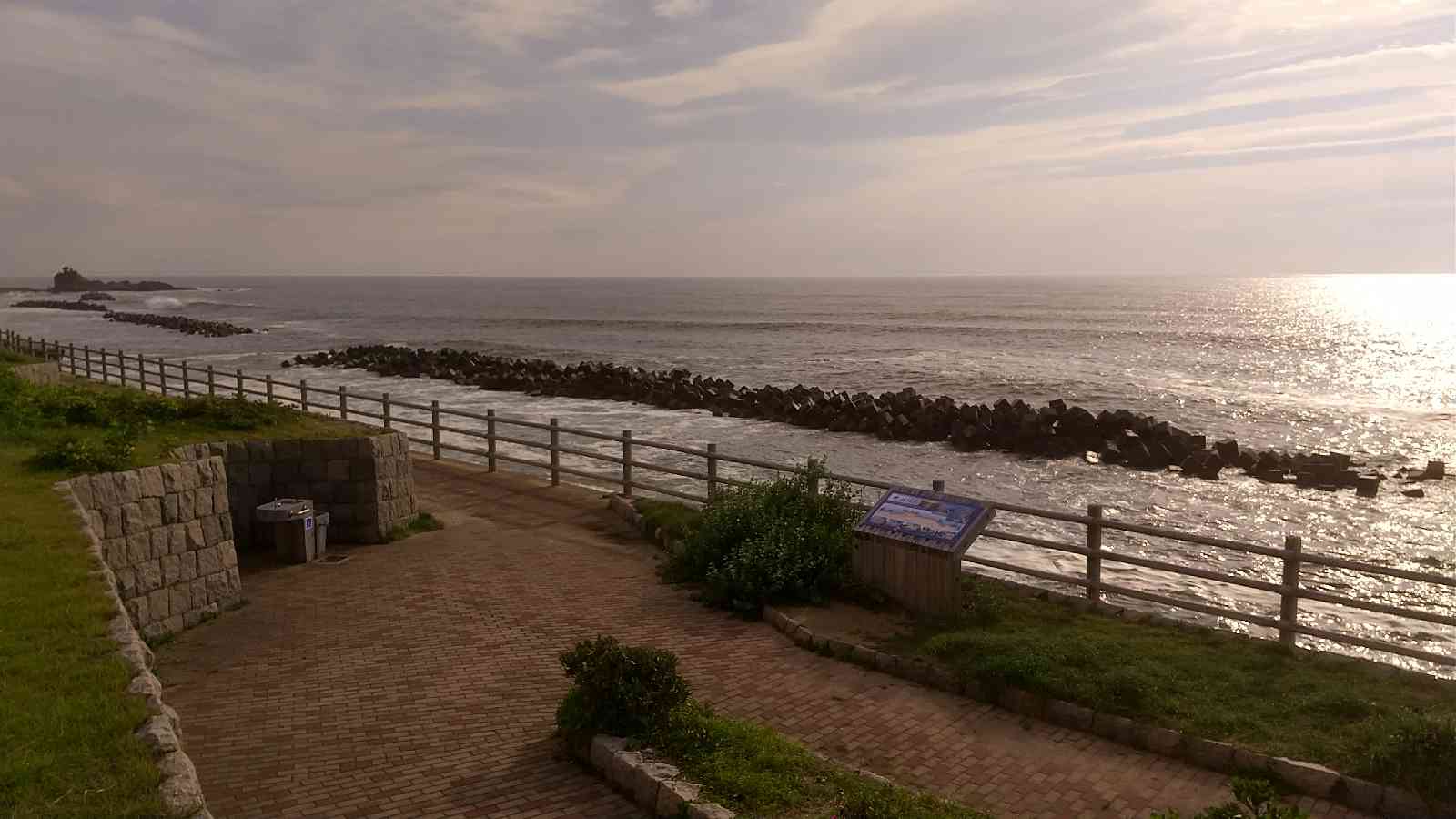 投稿された画像