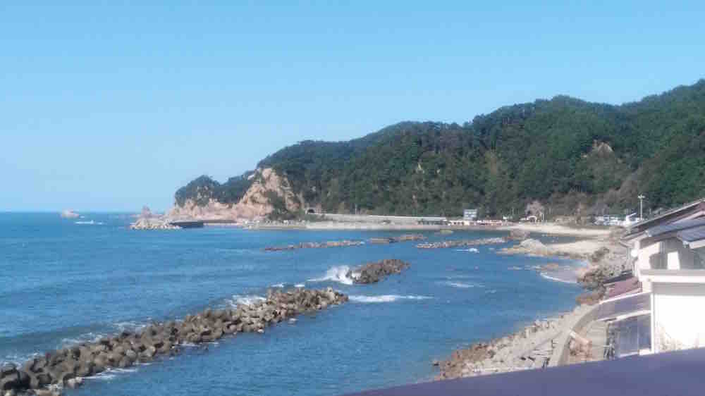 投稿された画像