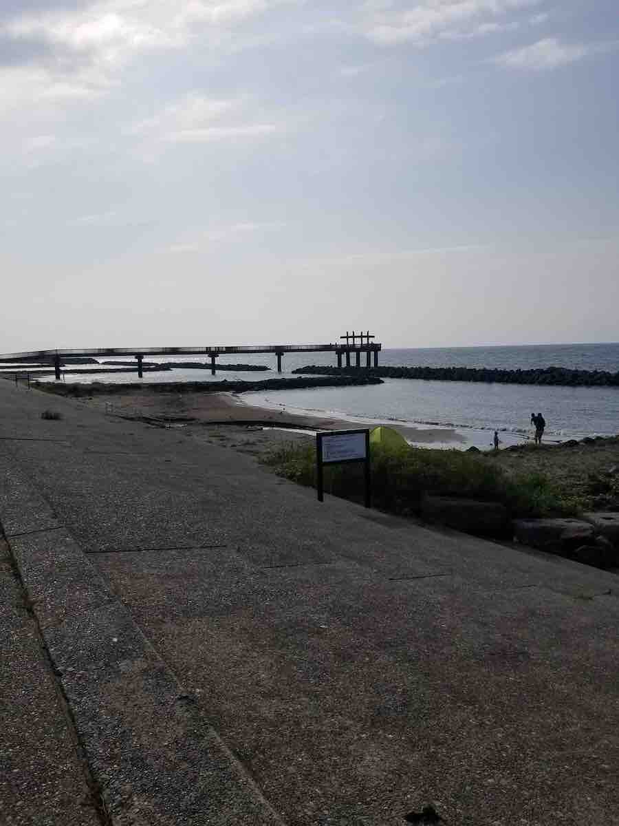 投稿された画像