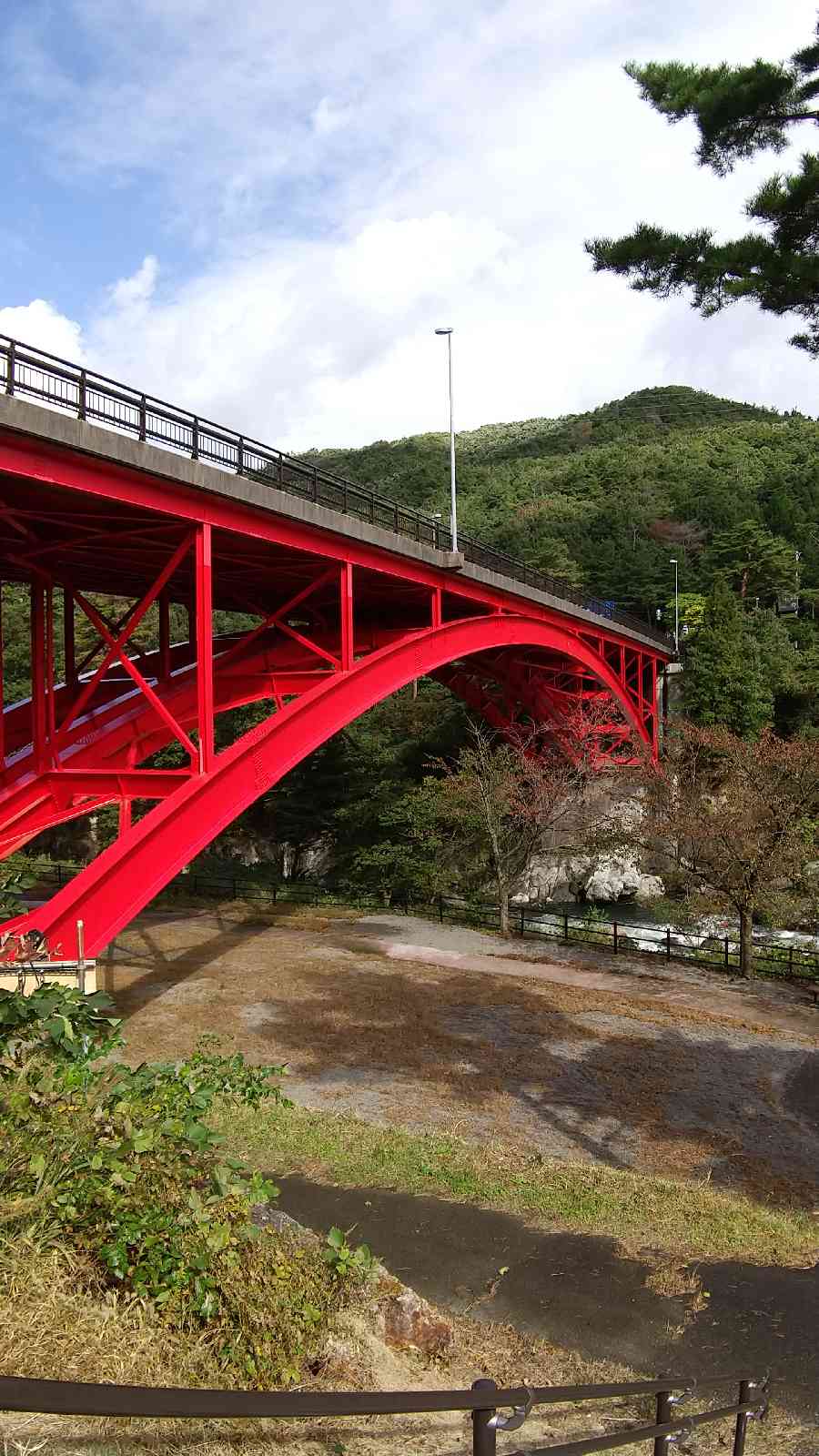 投稿された画像