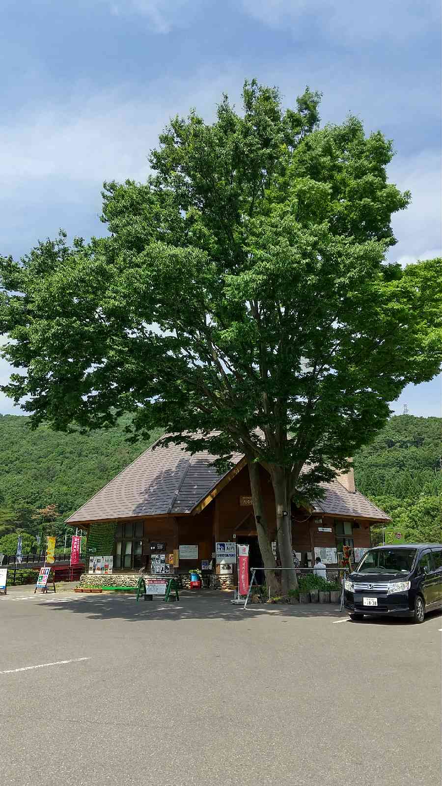 投稿された画像