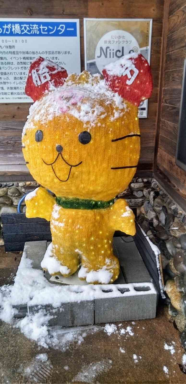 道の駅 胎内の写真