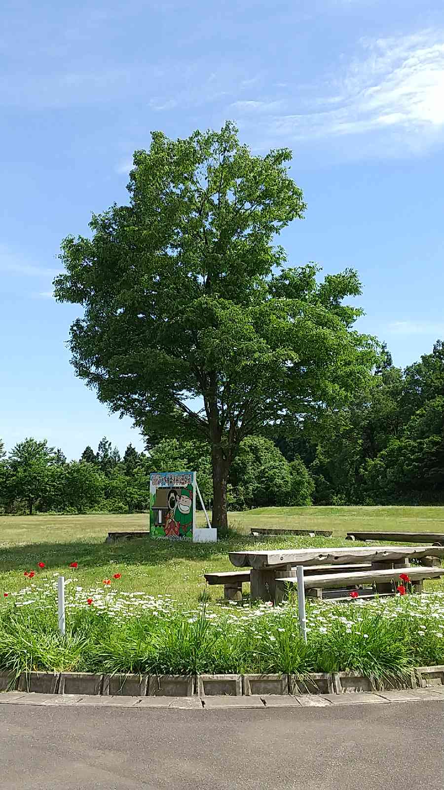 投稿された画像
