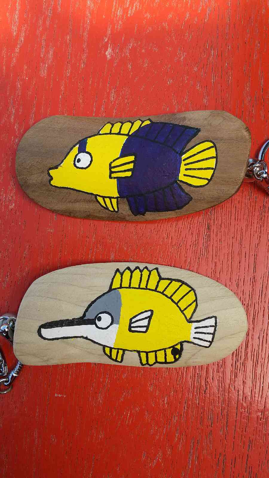 投稿された画像