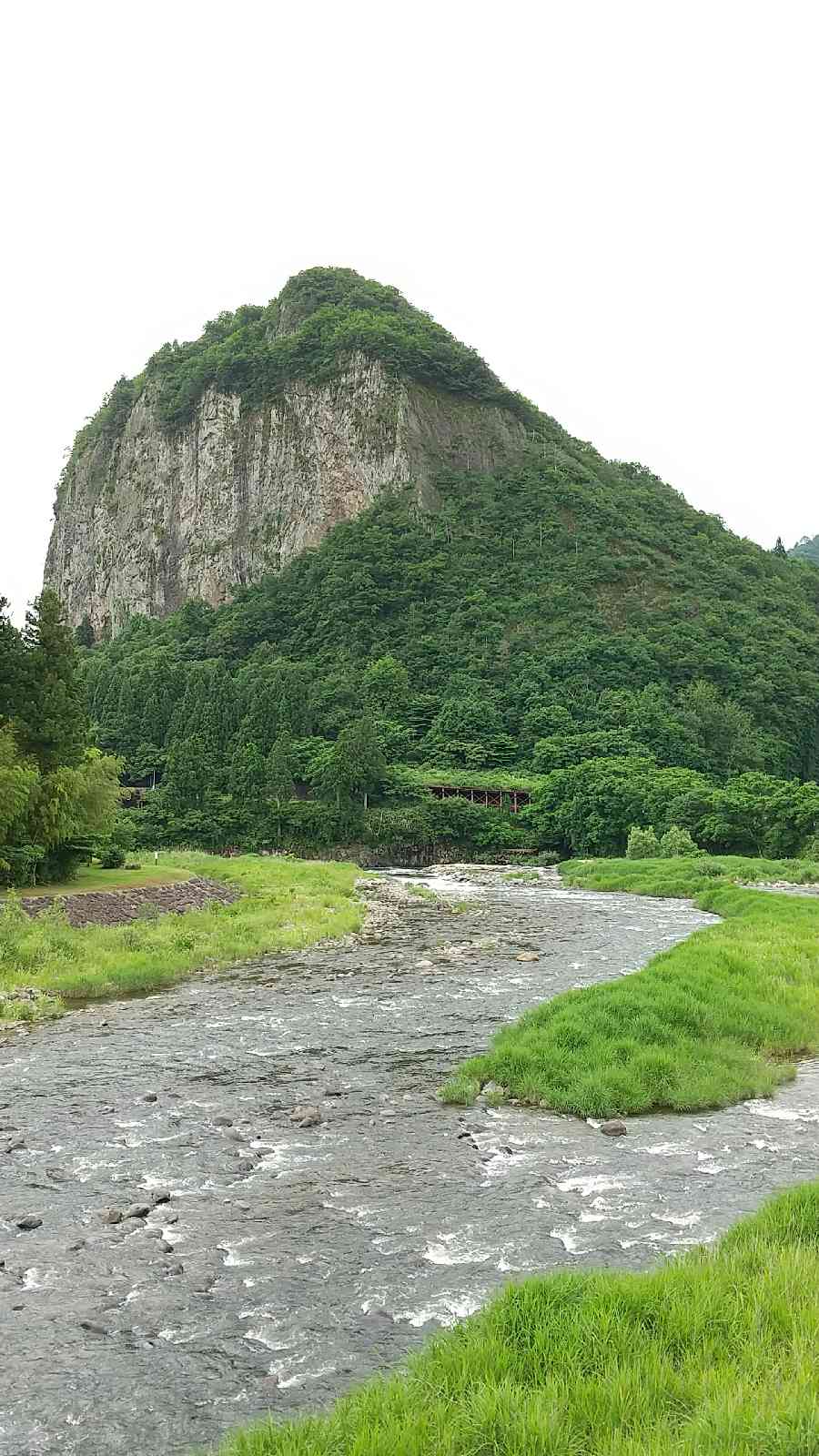 投稿された画像