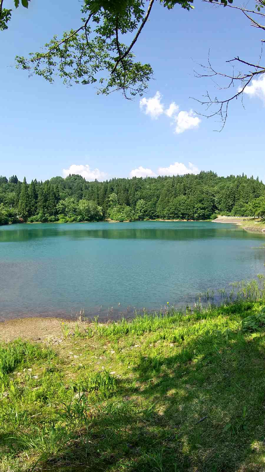 投稿された画像