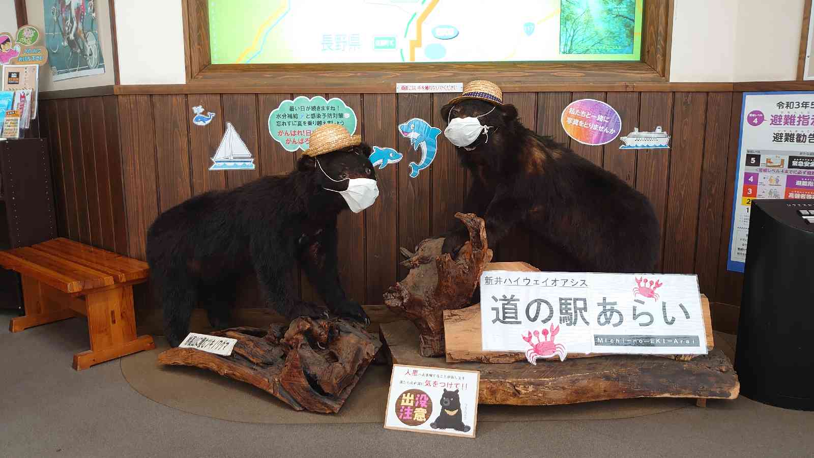 投稿された画像