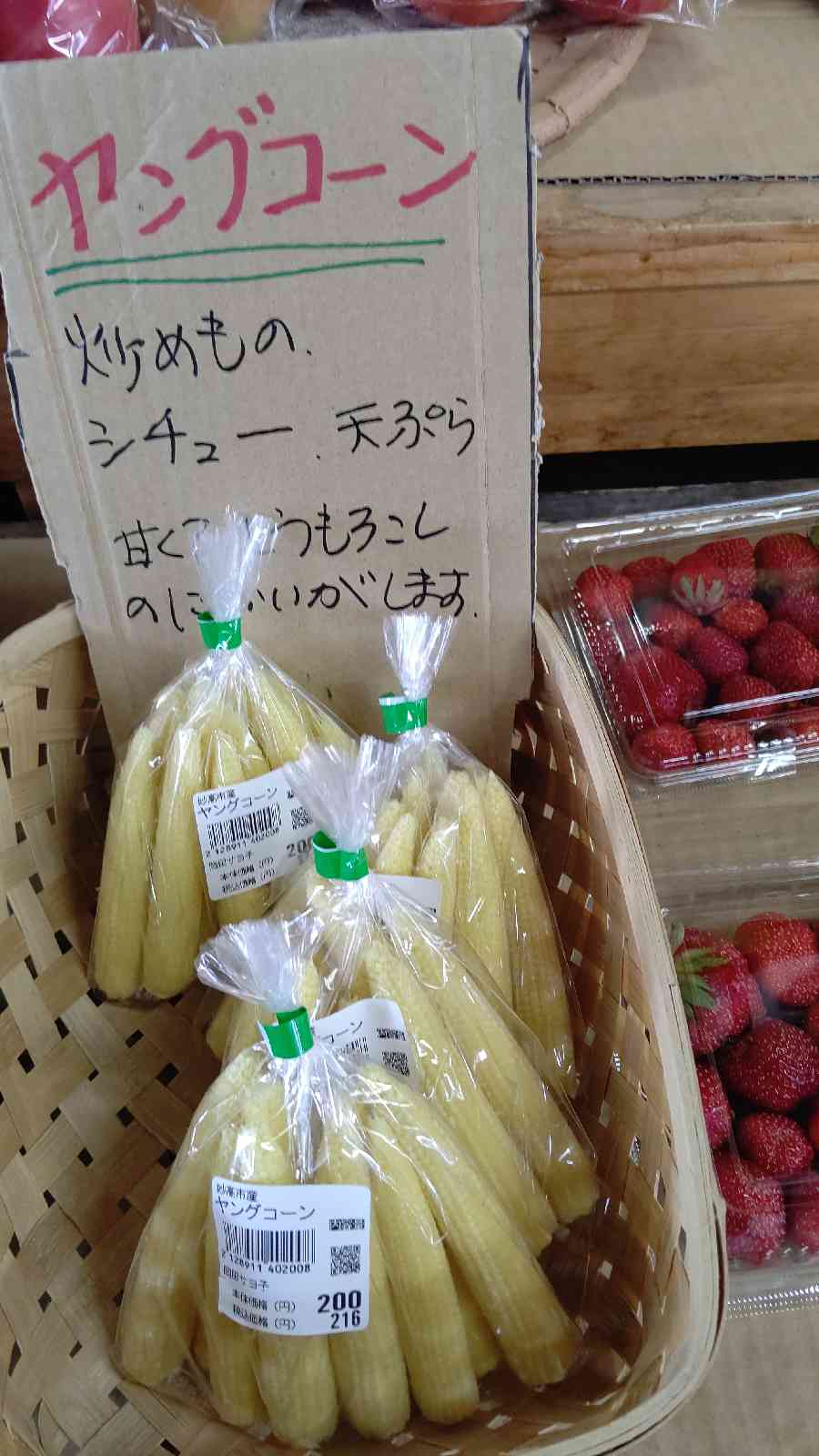 投稿された画像