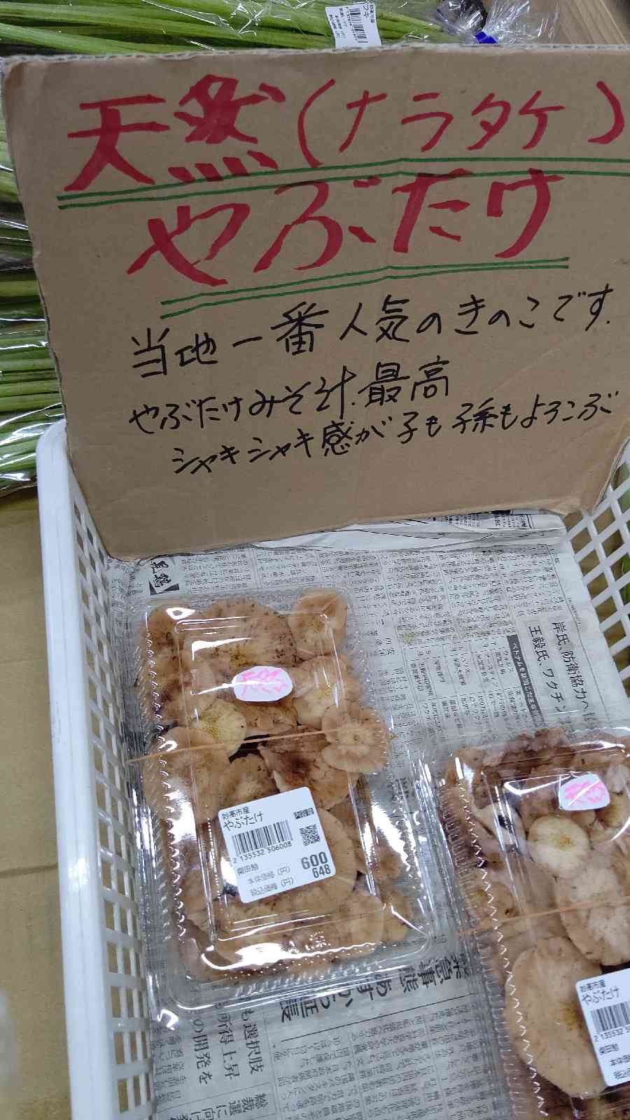 投稿された画像