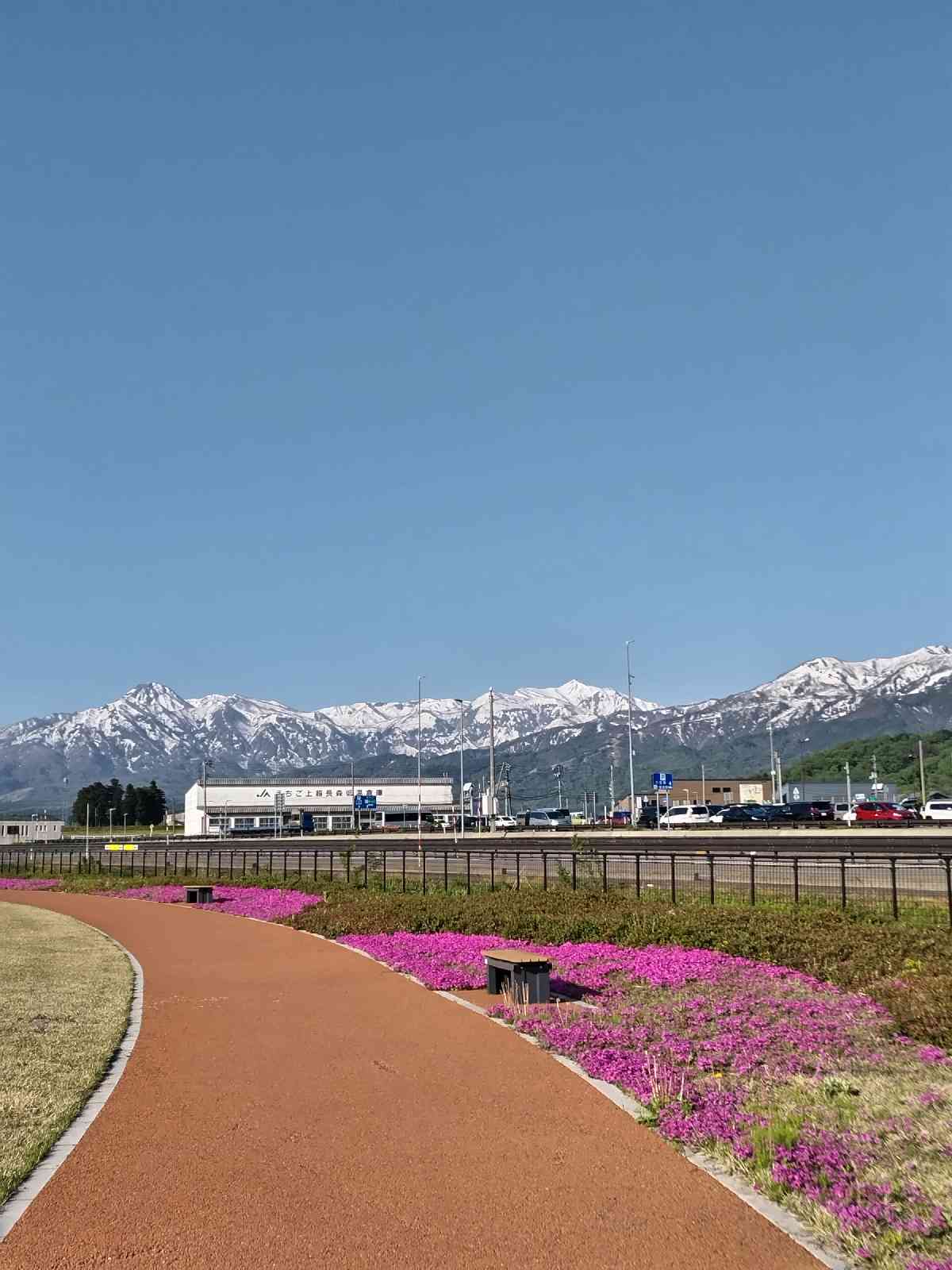 投稿された画像