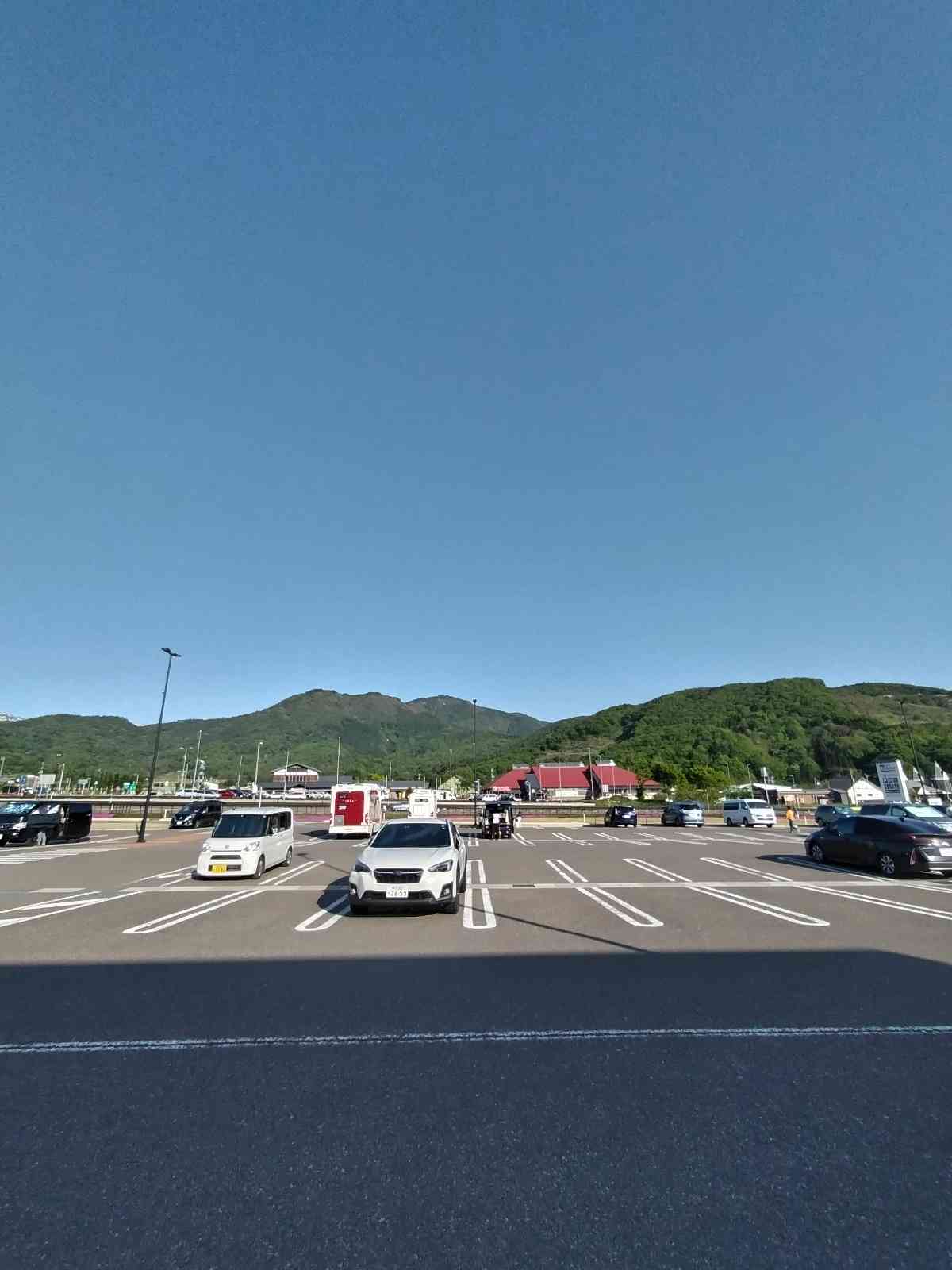投稿された画像