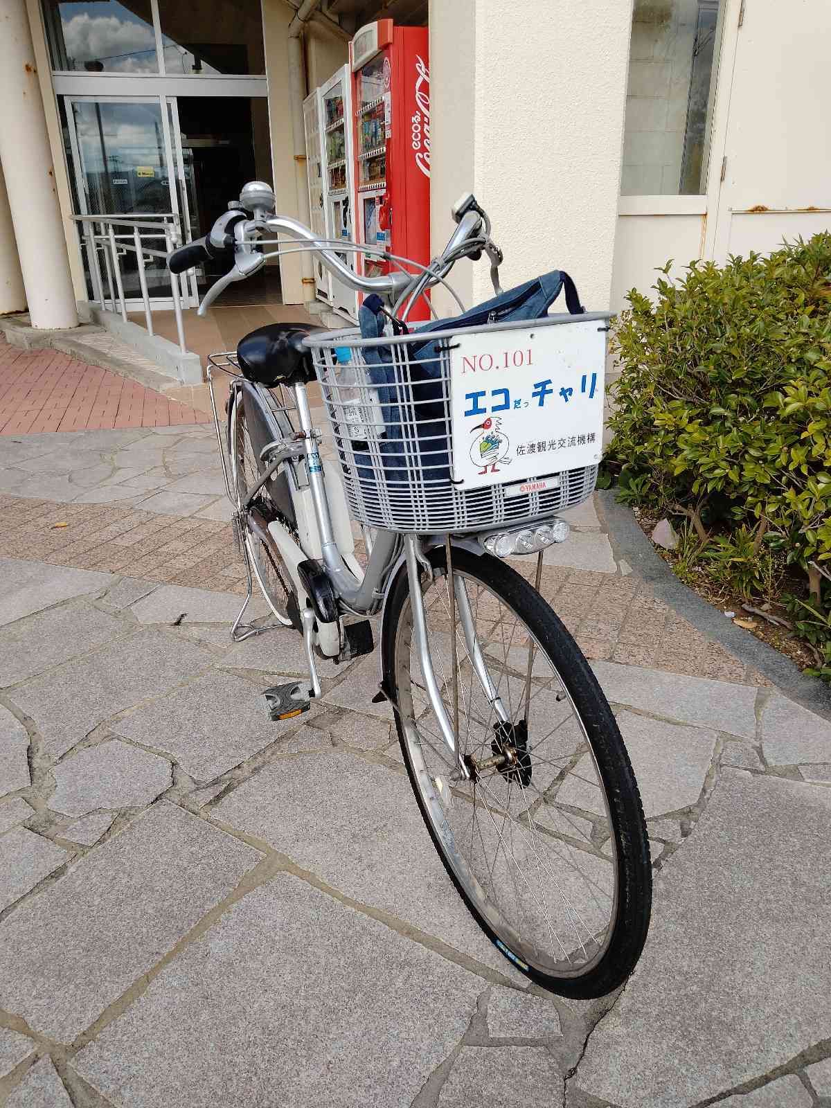 投稿された画像