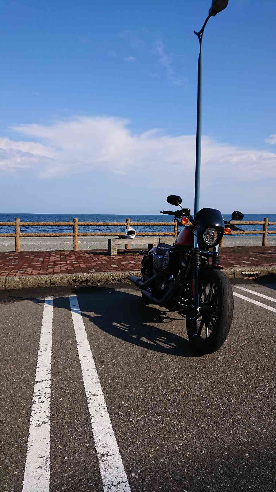 投稿された画像