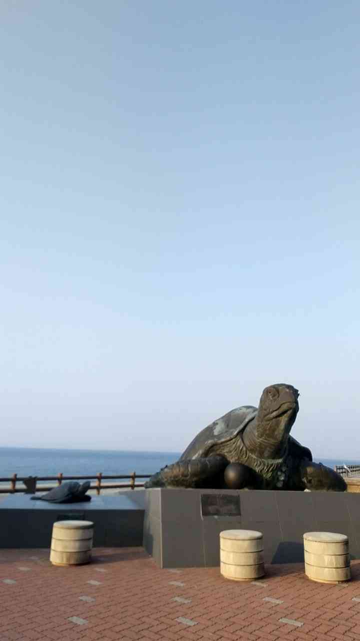 投稿された画像