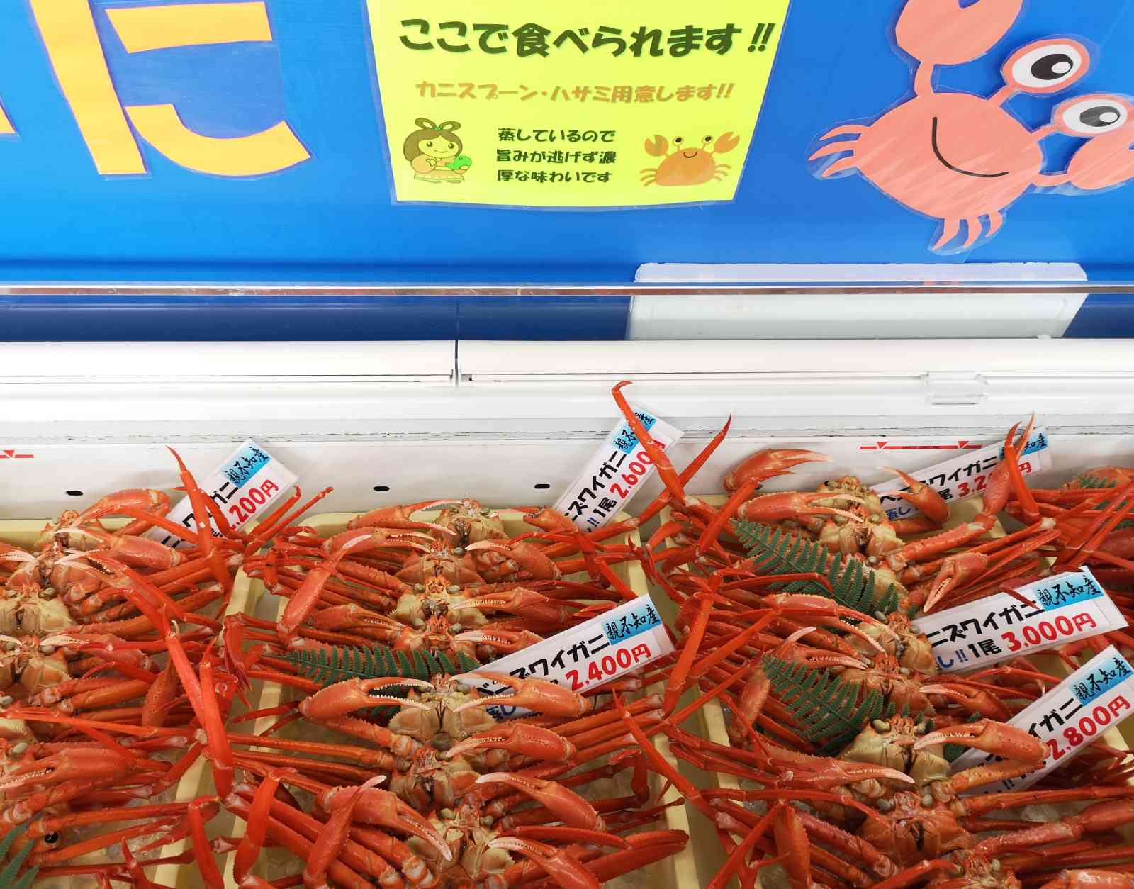 道の駅 親不知ピアパークの写真