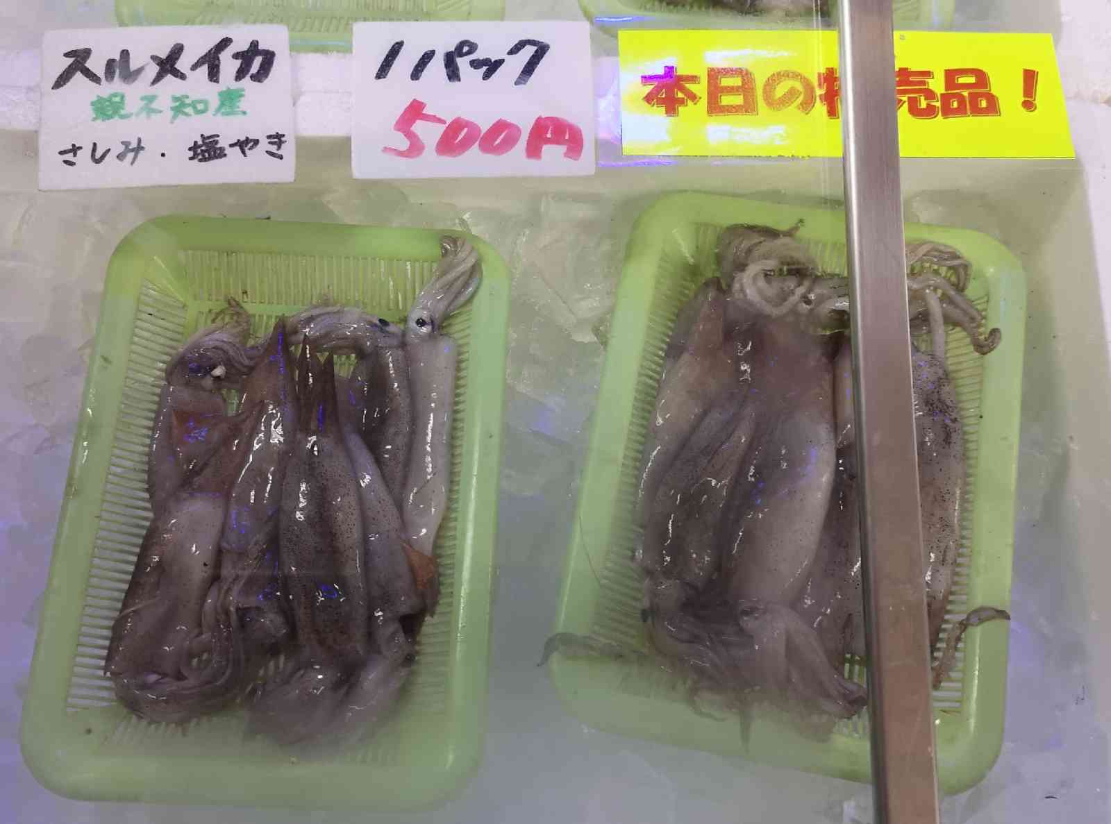道の駅 親不知ピアパークの写真