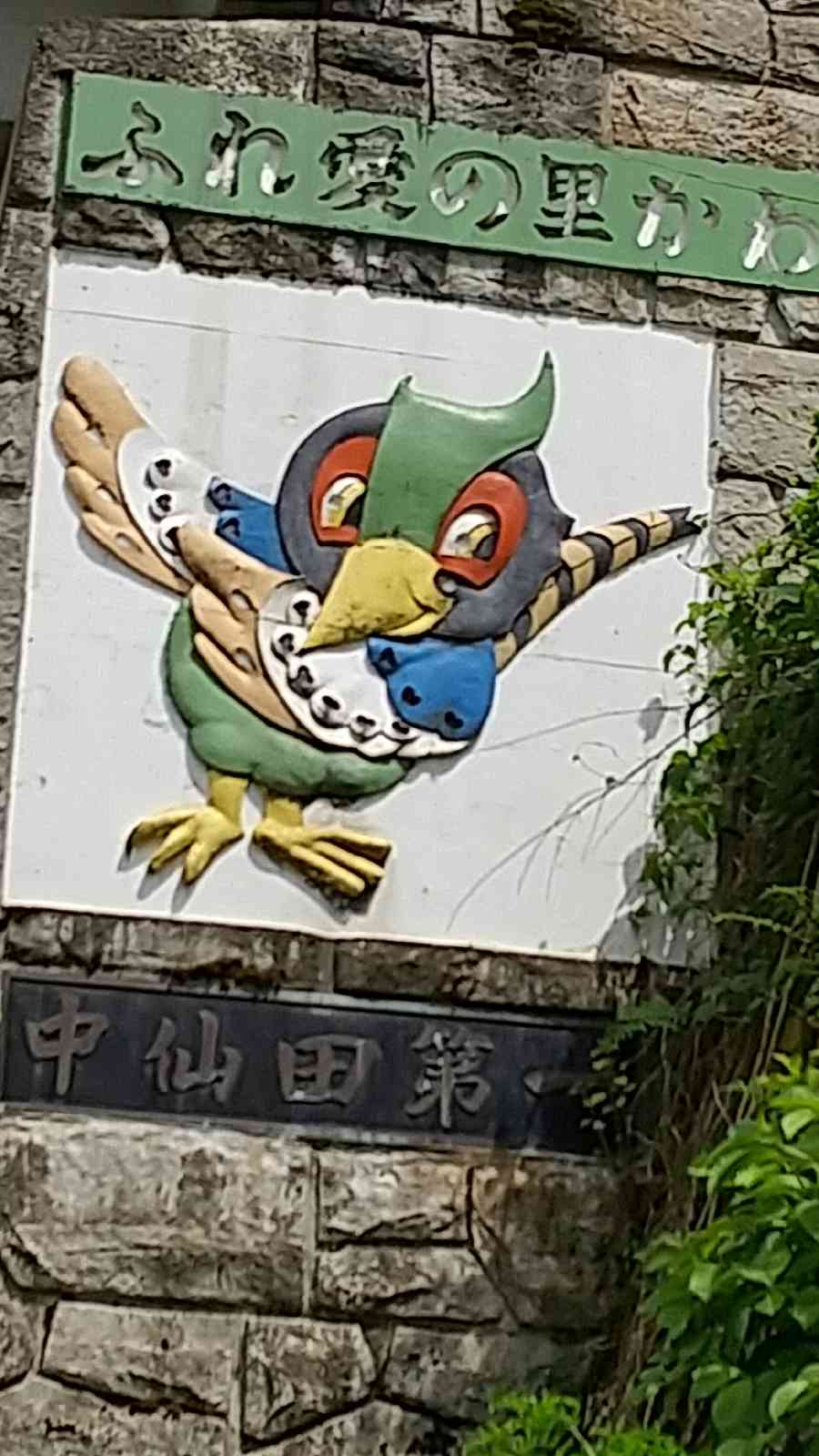 投稿された画像