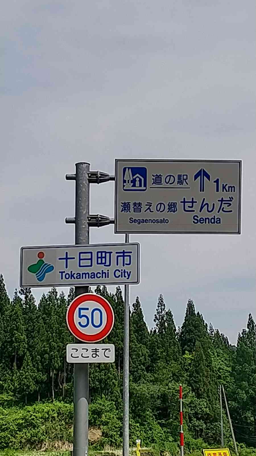 投稿された画像