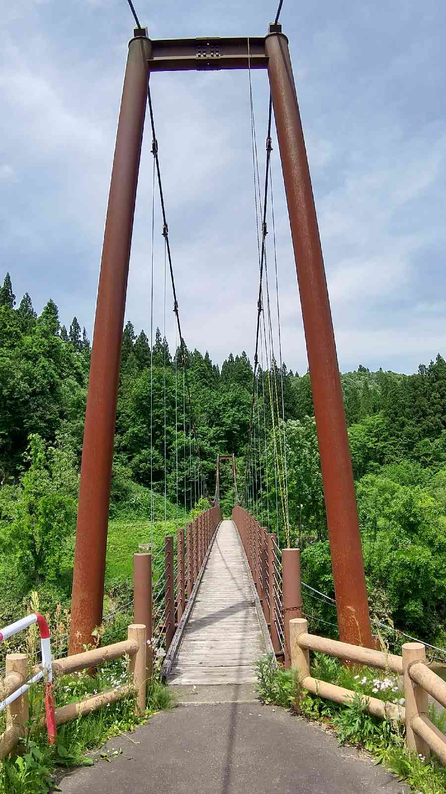 投稿された画像