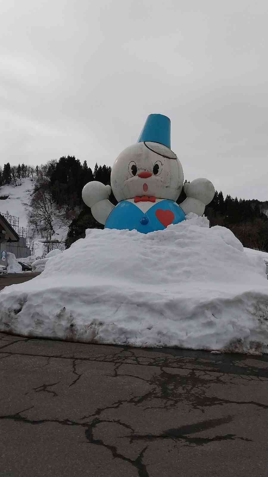 投稿された画像