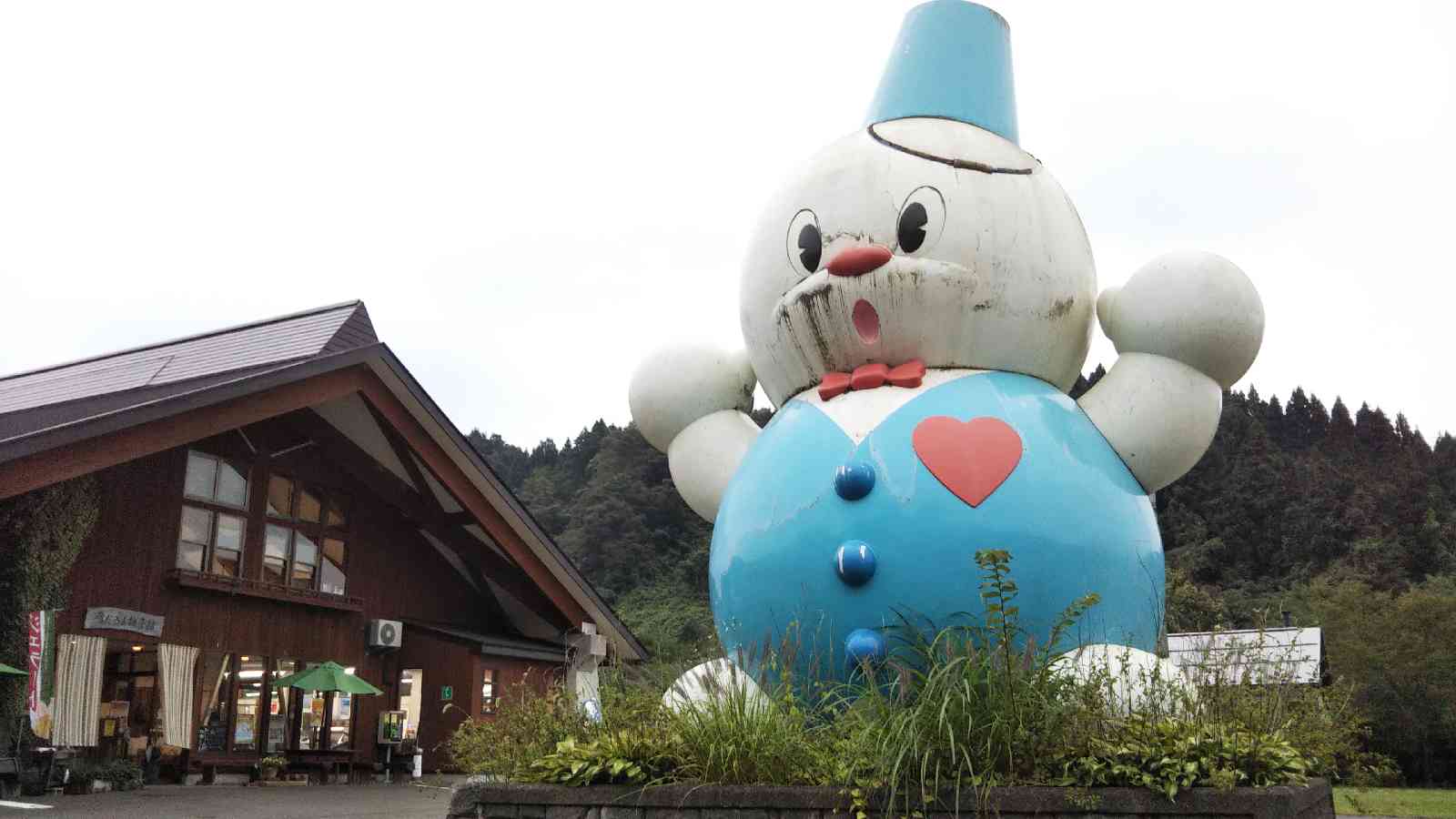 投稿された画像