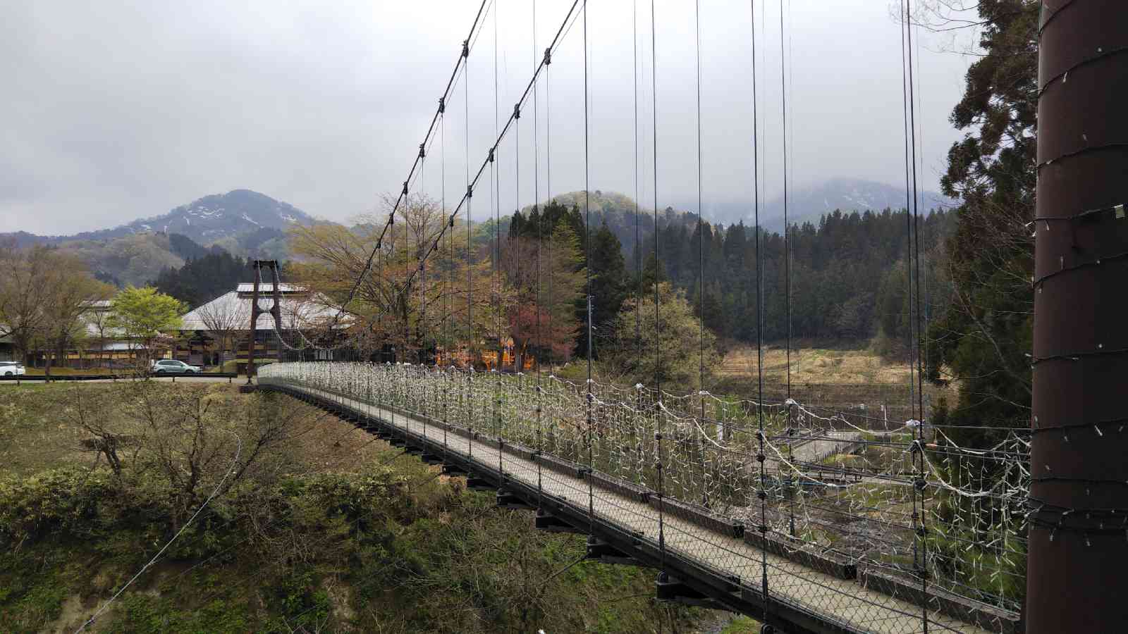 投稿された画像
