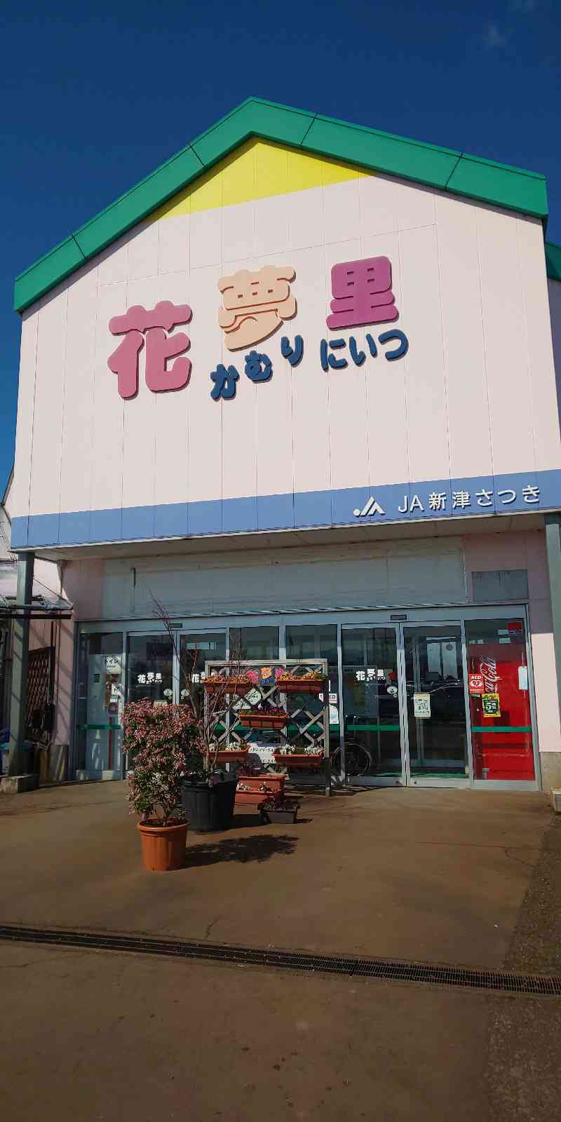 投稿された画像