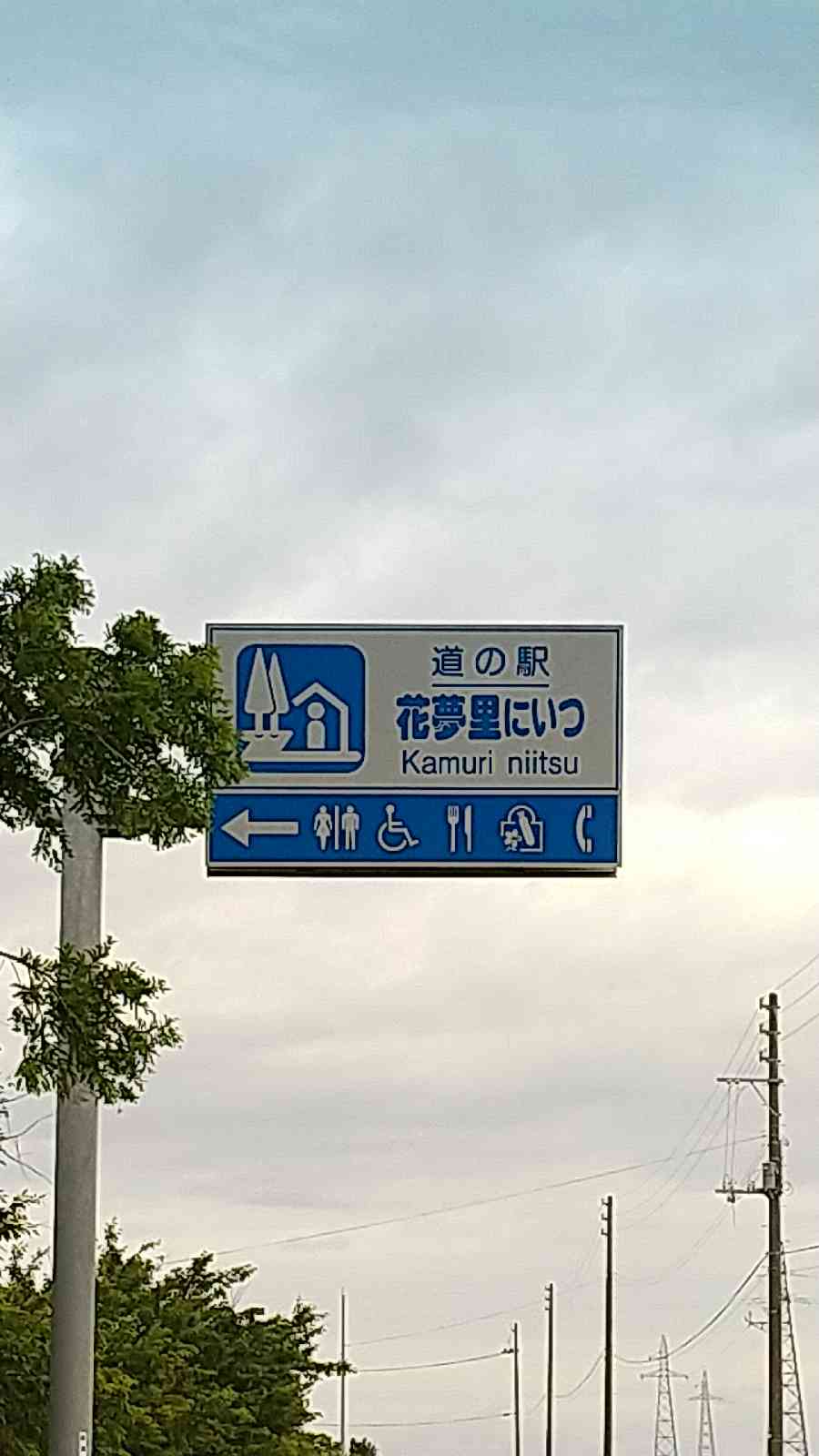 投稿された画像