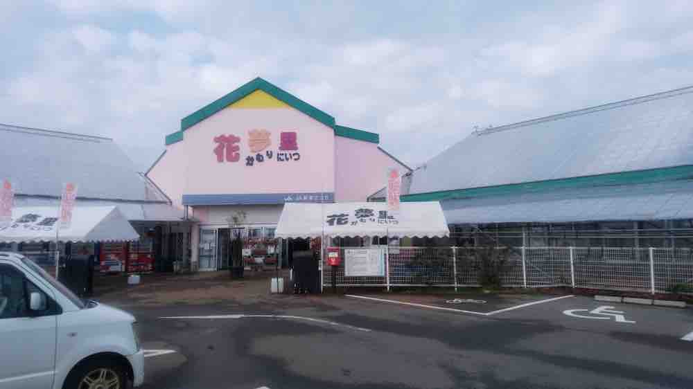 投稿された画像