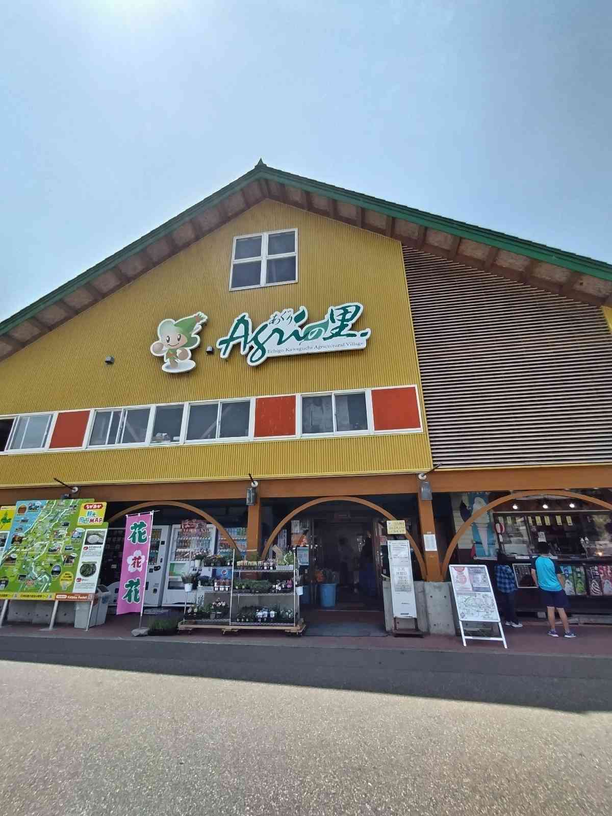 投稿された画像