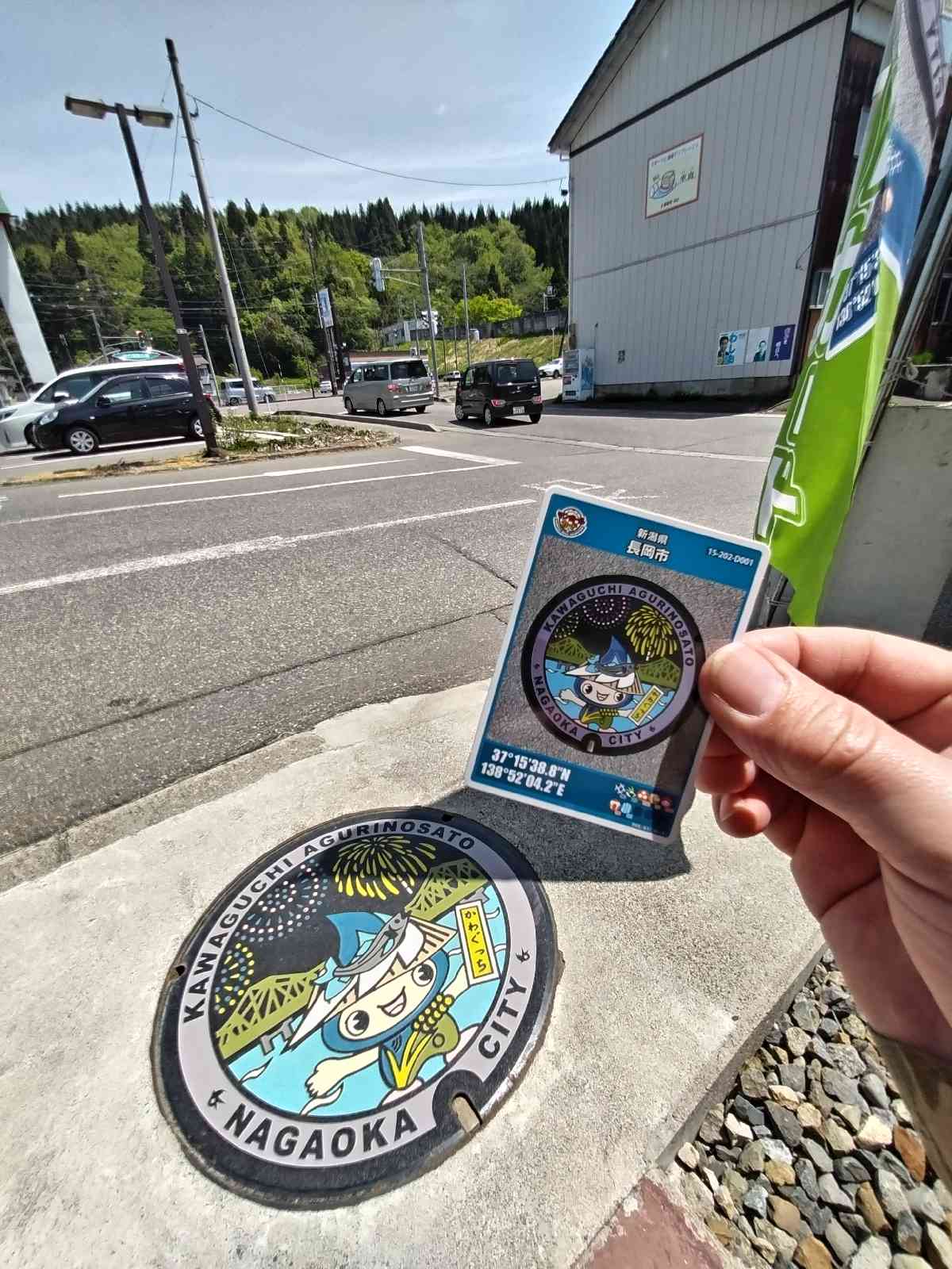 投稿された画像