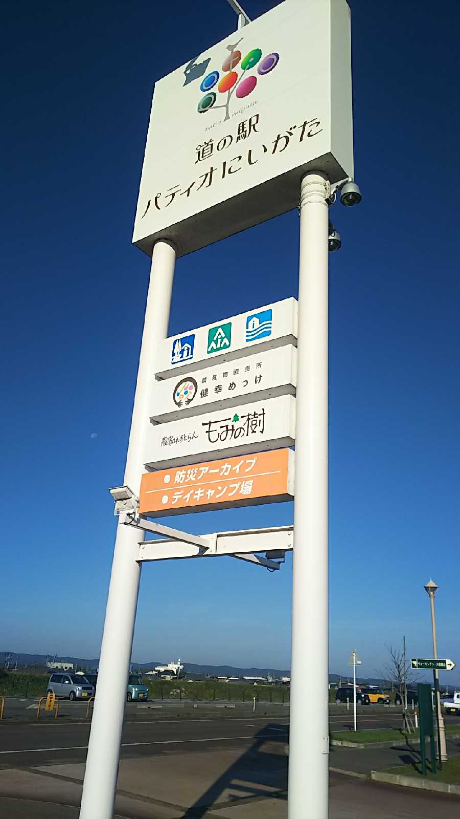投稿された画像