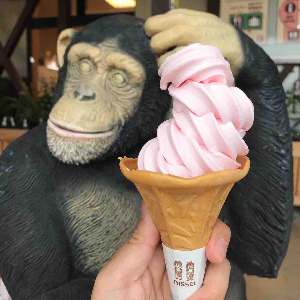 投稿された画像