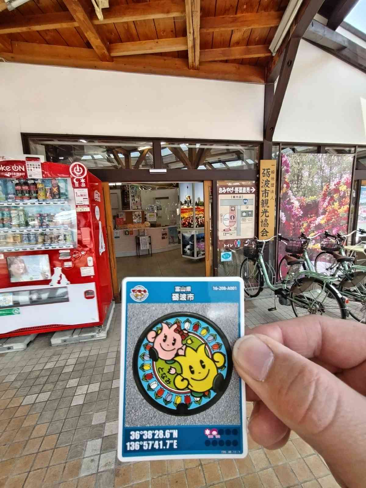 投稿された画像