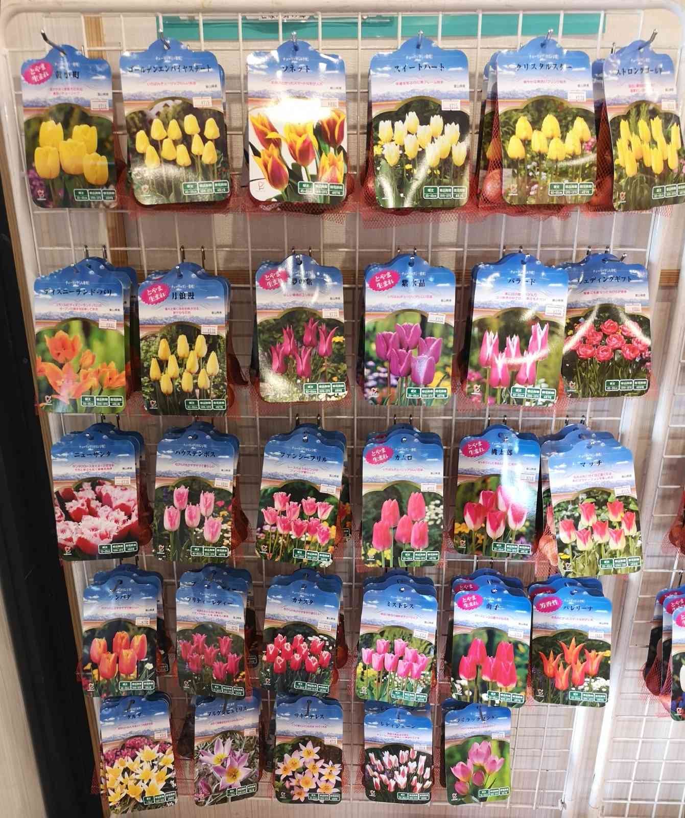 道の駅 砺波の写真
