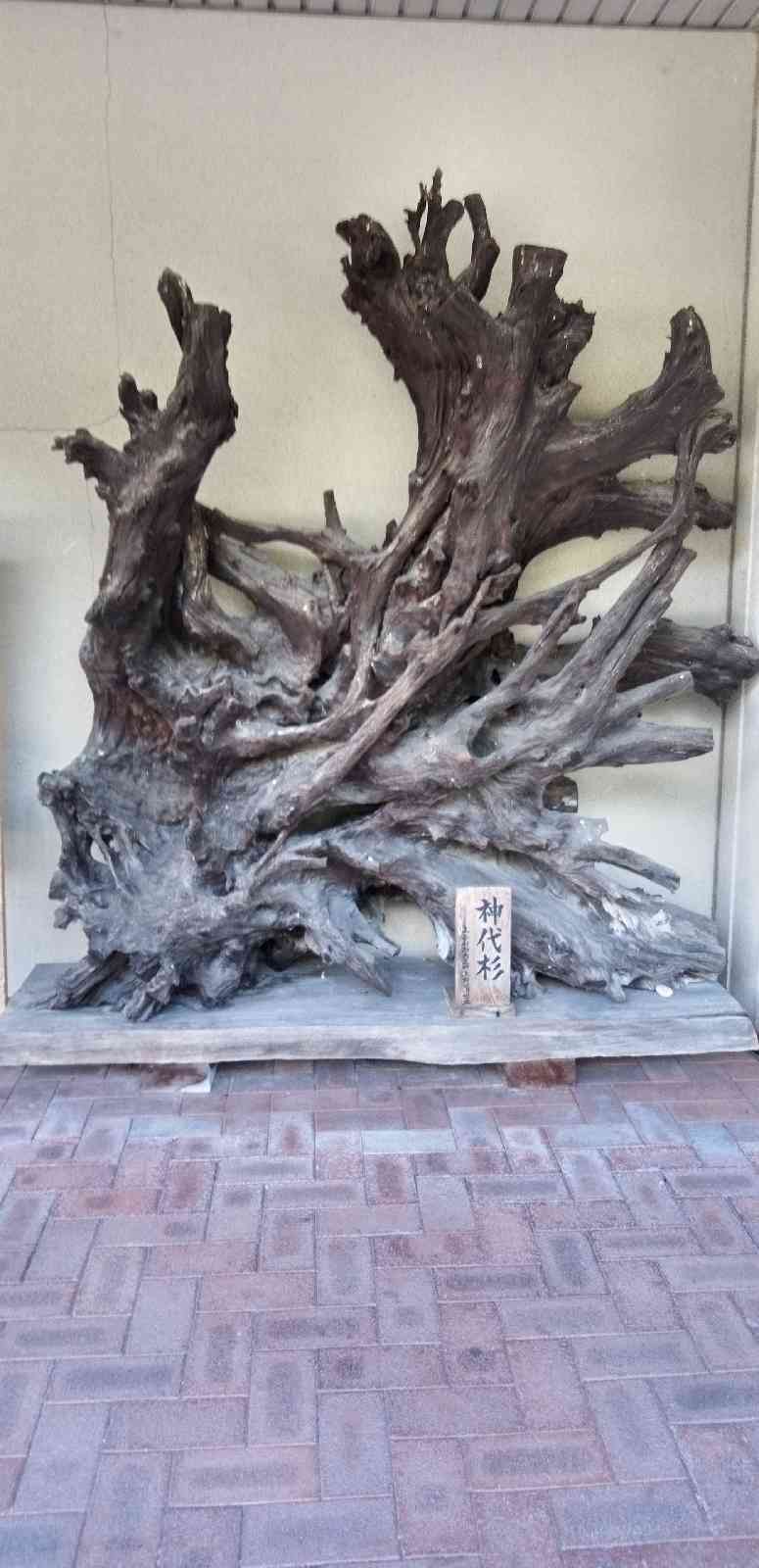 道の駅 上平の写真
