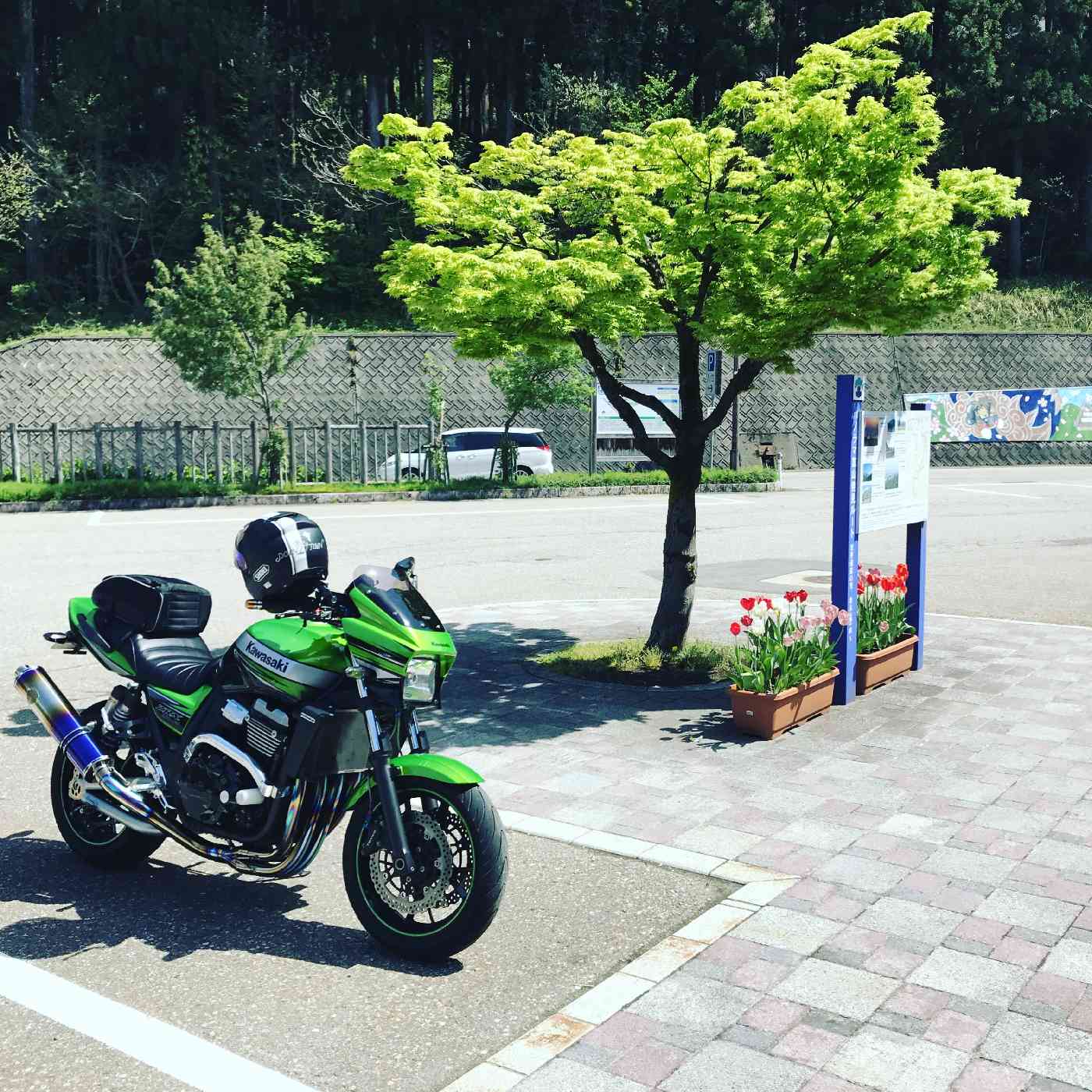 投稿された画像