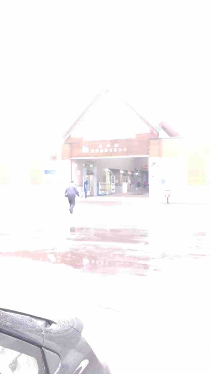 投稿された画像