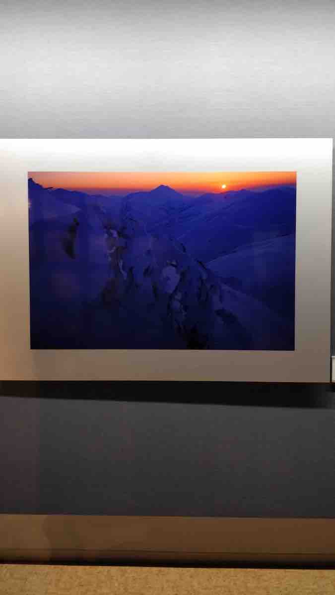 投稿された画像