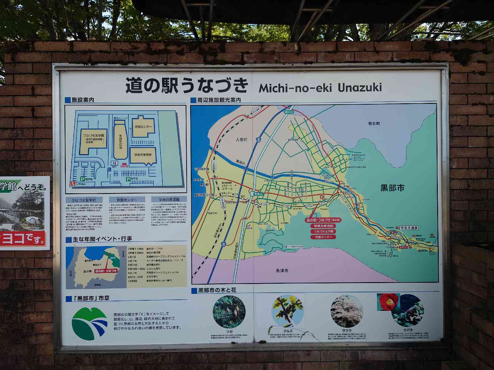 投稿された画像