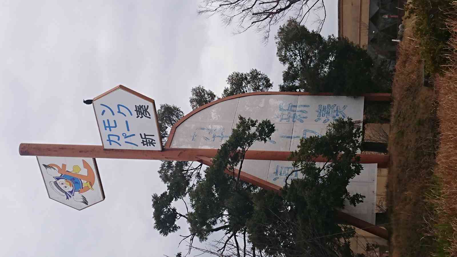 投稿された画像