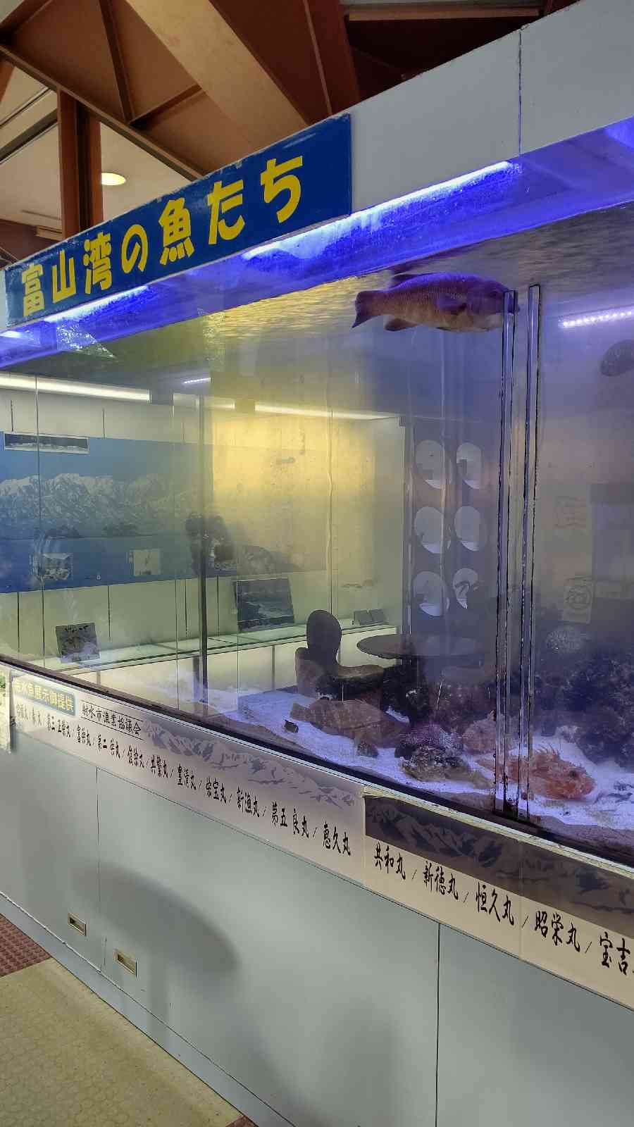 投稿された画像