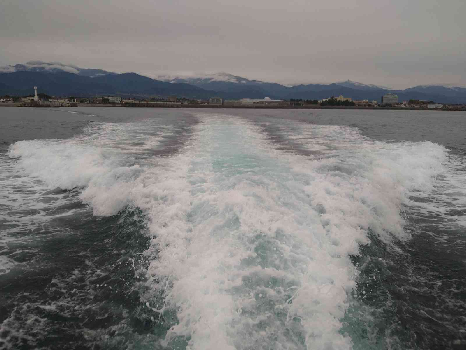 投稿された画像